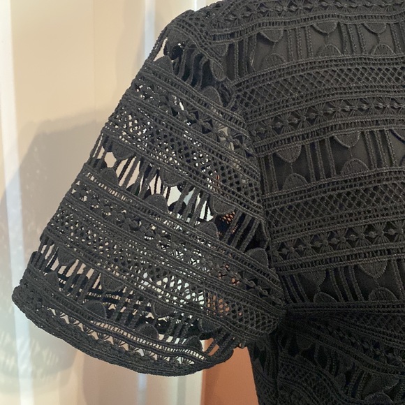 Rachel Parcell Anglaise L Black embroidered overlay fit & flare lined knee dress - Picture 5 of 16